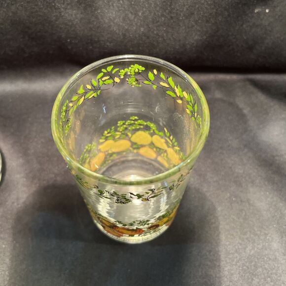Set of 5 VTG Drinking Glass Bonne Sante / Spice of Life Libbey France Great Con. - Picture 6 of 10